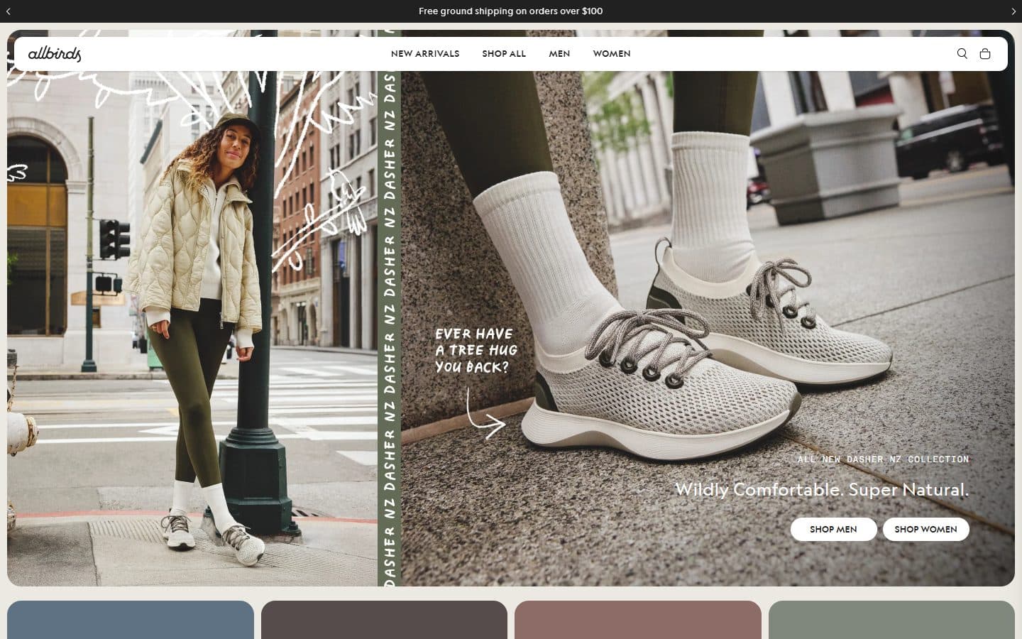 Allbirds website preview