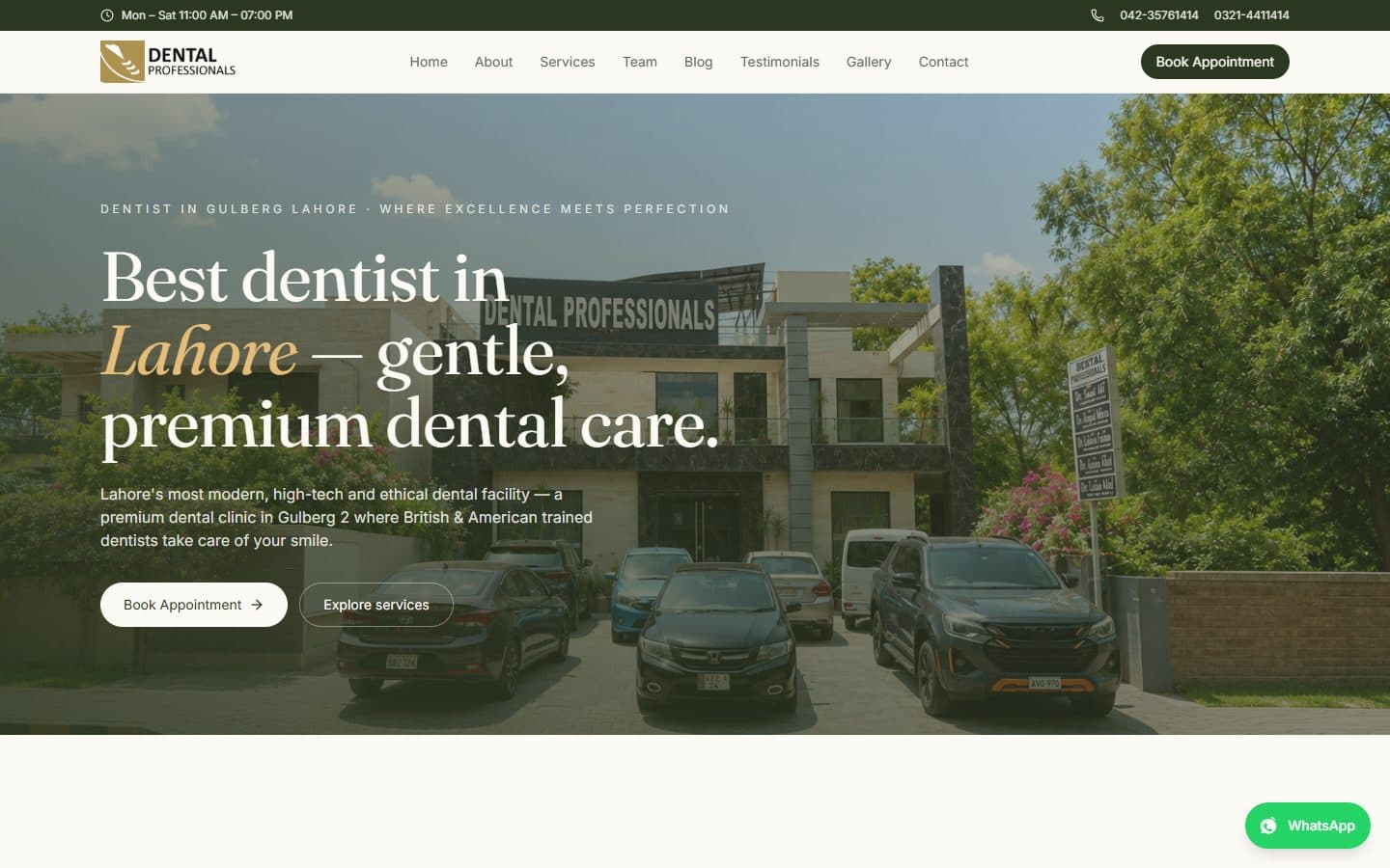 Dental Professionals website preview