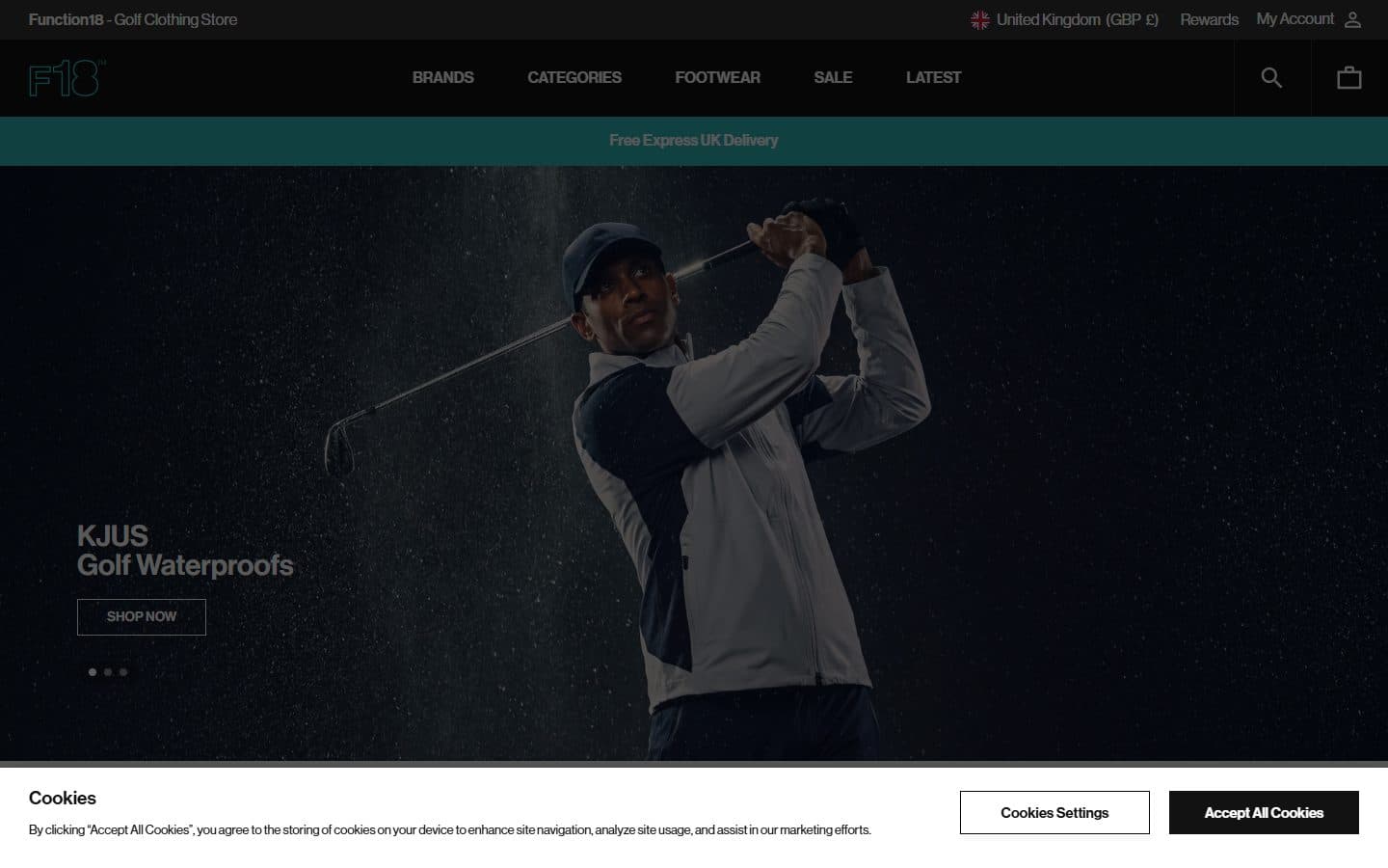 Function18 website preview